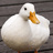 DuckEffectsShop