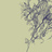 FurtiveSolitude
