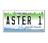 savaster