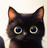 黒猫亭