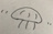9番目の水槽屋さん