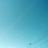しらそら映写室