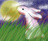 鳶松庵〈素材屋さん〉
