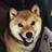 柴犬天国の小屋