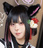 猫猫だいふく