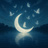 MoonChip