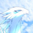 sky-shop-griffon