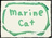 marinecat
