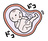 momi-i
