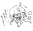 Mnokura
