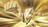 noeldesignbureau