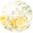 citrusPOT