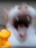 catlaughingatyou