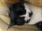 nekomiyayuuna