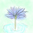 Puddle Water Lily