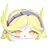 カナリアしょっぷ