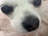 まんたりうむ