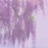 sitosatoya