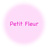 ˚✧₊⁎ Petit Fleur ⁎⁺˳✧༚