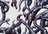 tentacle8tenta