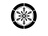 kyokuhokukoori