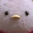 日刊エピローグ