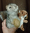squirrel poet association