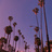 So CAL.