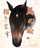 nishioki-horse