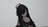 にんにきゅ