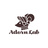Adorn Lab