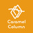 Caramel Column Inc.