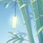 八雲れんさん応援広告企画専用ＳＨＯＰ