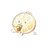 LemonTYcup