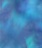Yu_quiz