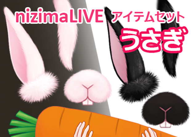 動く！うさぎなりきりアイテムセット