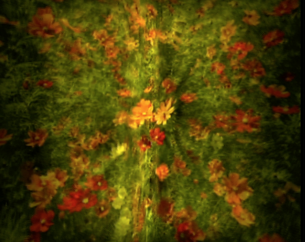 Flower 3