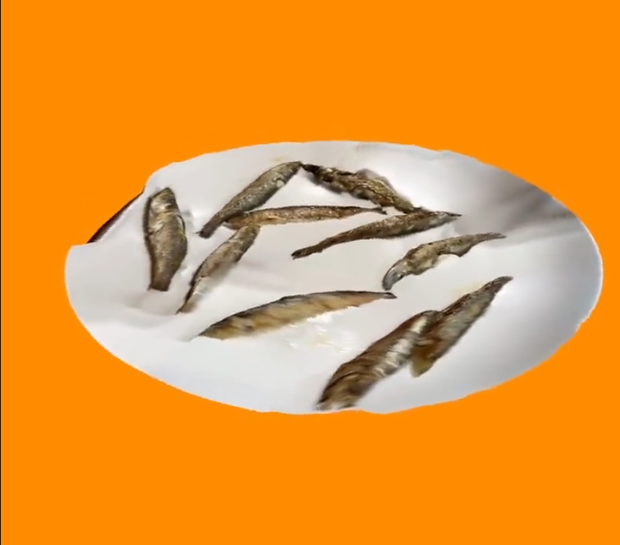 【VRChat想定】焼きいわし【フォトグラメトリ・3Dモデル・料理】