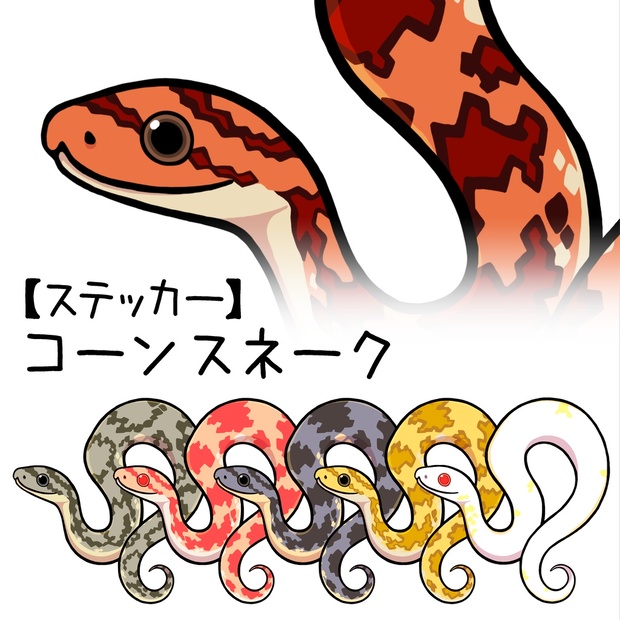 ステッカー コーンスネーク モルフ６種 丼くらげ屋 Booth