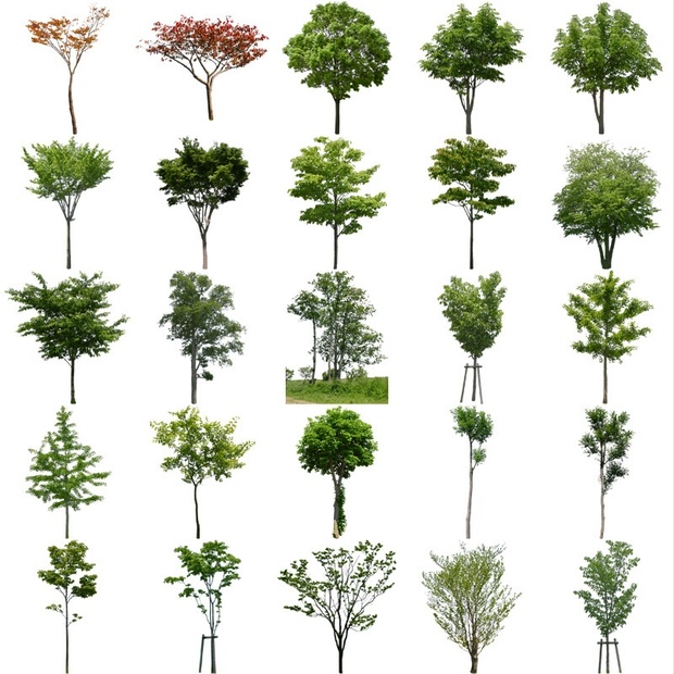 樹木素材セット 90個 free_trees_set02 - ∵∴樹木切り抜き素材 ...