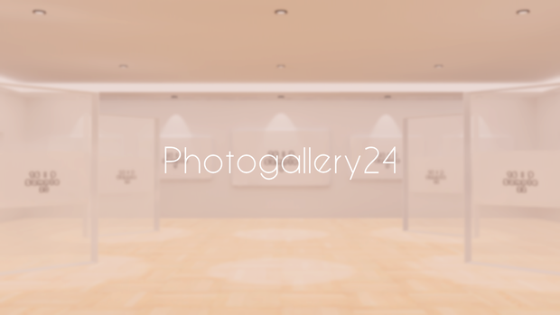 【VRChat想定】photogallery24【ワールドアセット】