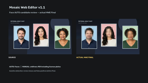 Mosaic Web Editor v1.1｜動画モザイク編集ツール【Face / Sensitive AUTO＋手動補正】