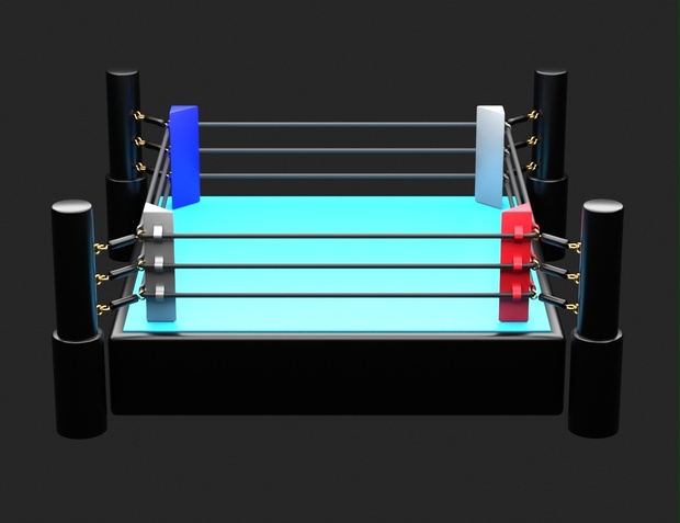 【3Dモデル】プロレスリングのリング