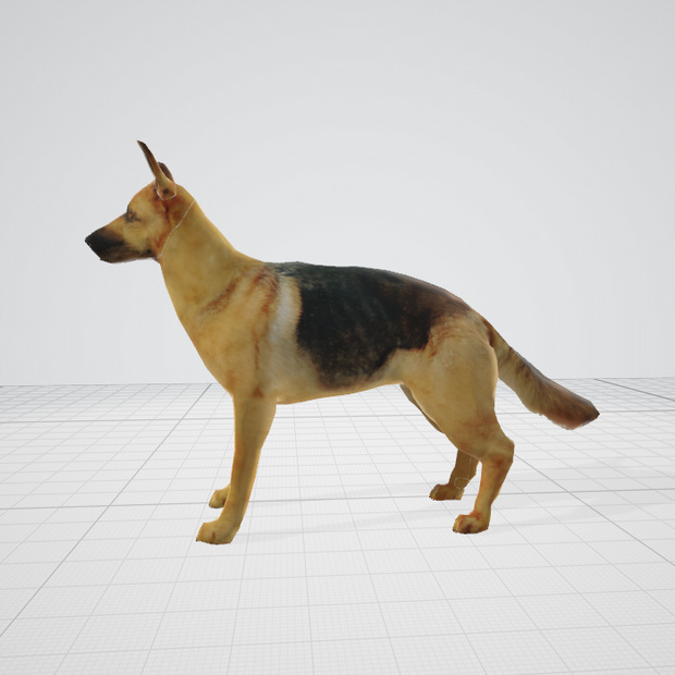 3dモデル　犬　モデル