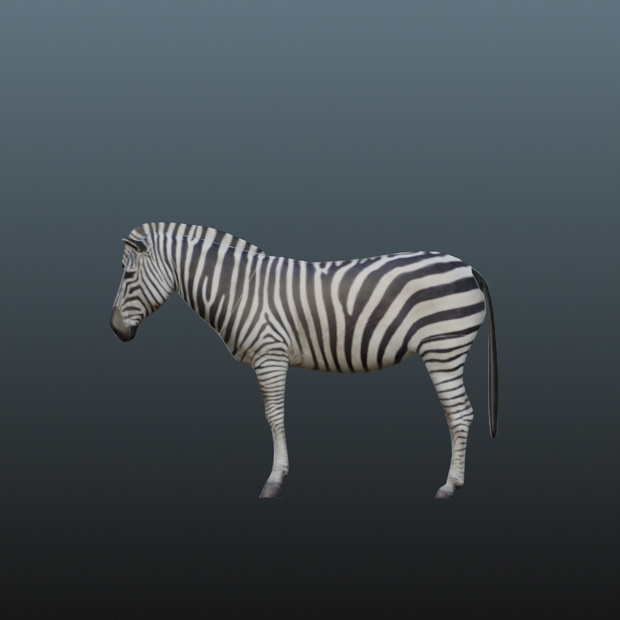 3ｄモデル　シマウマ　blender