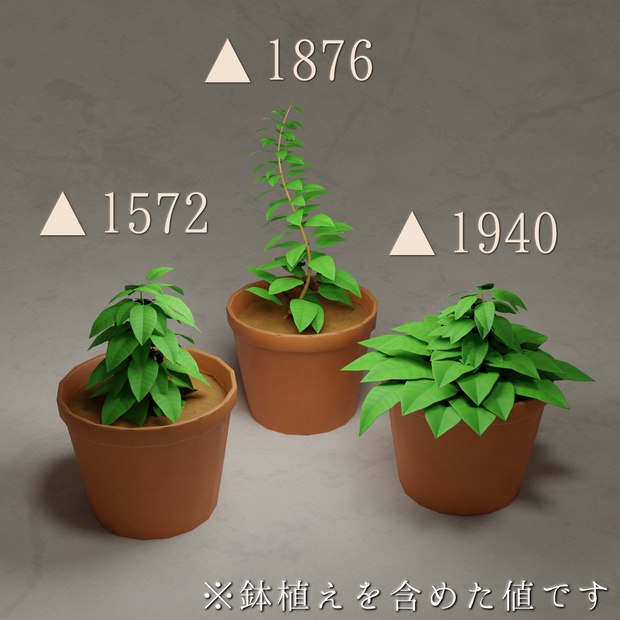 小さな観葉植物セット