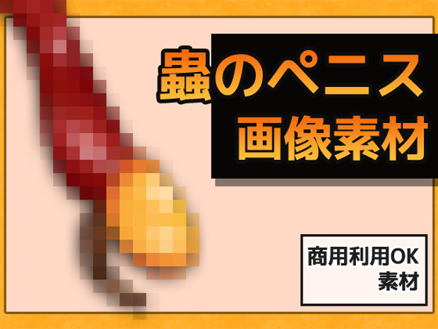 蟲のペニス・交尾器官 画像素材～商用OK著作権フリー
