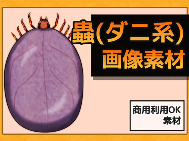 蟲(ダニ系) 画像素材～商用OK著作権フリー