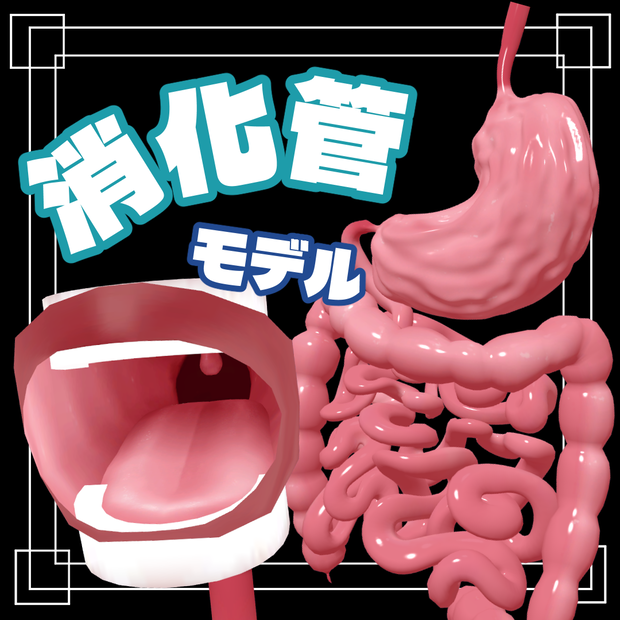 【MA設定済み】消化管3Dモデル【マヌカ対応】