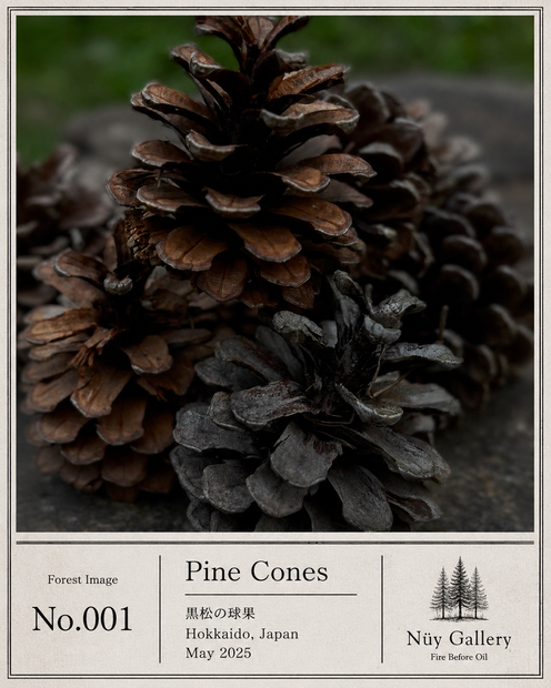 Forest Image No.001